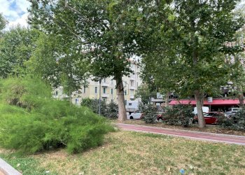 Foto 24 - Appartamento Viale Argonne
39, Milano - foto 24