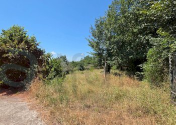 Foto 5 - Independent house Via Tramonti
 
snc, Arce - photo 5