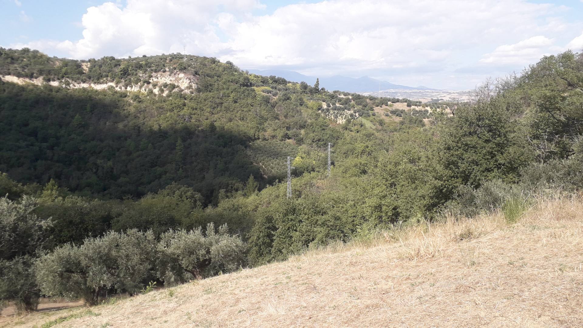 Foto 1 - Terreno agricolo Contrada Cugnoli, Turrivalignani - foto 1