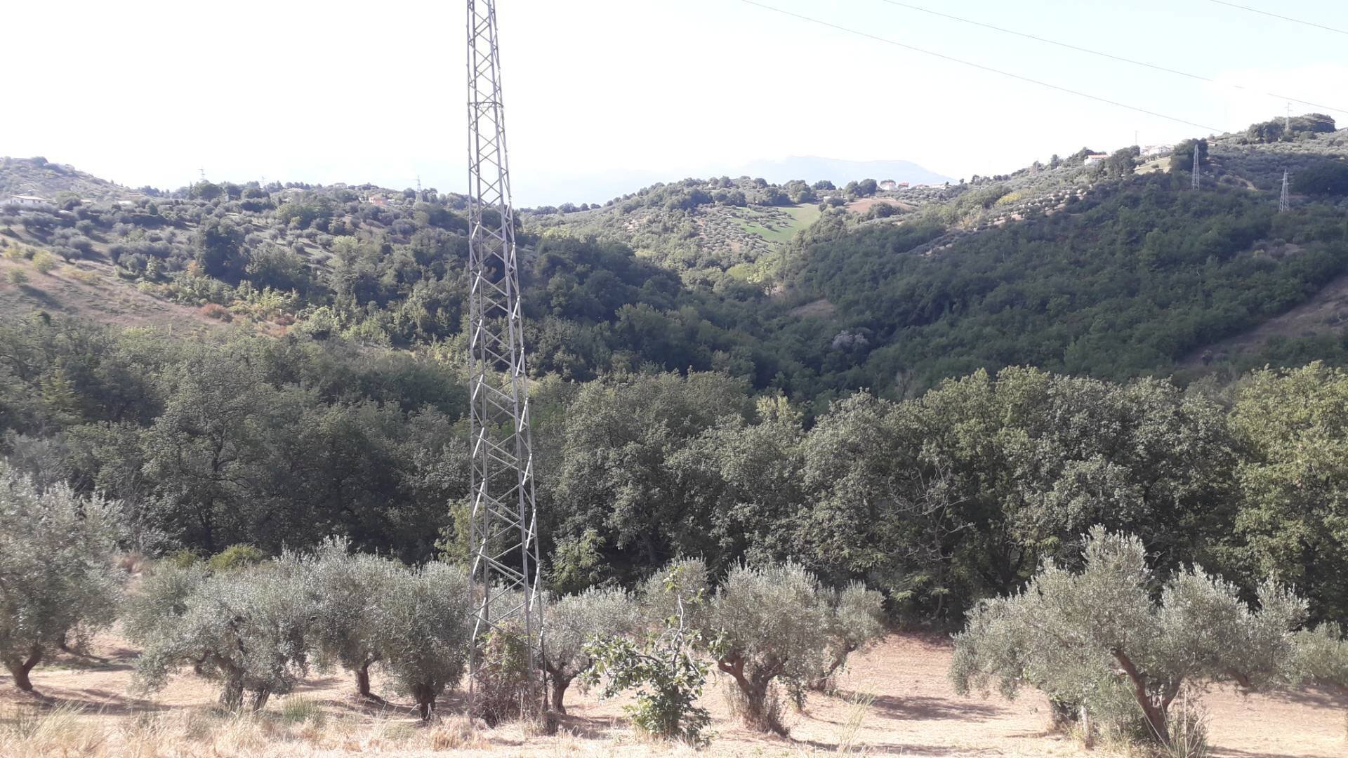 Foto 2 - Terreno agricolo Contrada Cugnoli, Turrivalignani - foto 2