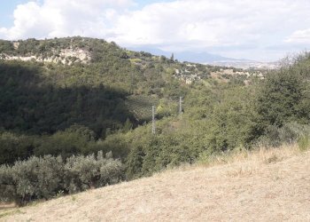 Foto 1 - Terreno agricolo Contrada Cugnoli, Turrivalignani - foto 1
