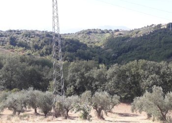 Foto 2 - Terreno agricolo Contrada Cugnoli, Turrivalignani - foto 2