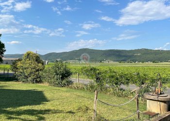 Foto 6 - Independent house VIA BORGOMALE, Orgiano - photo 6