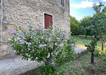 Foto 13 - Independent house VIA BORGOMALE, Orgiano - photo 13