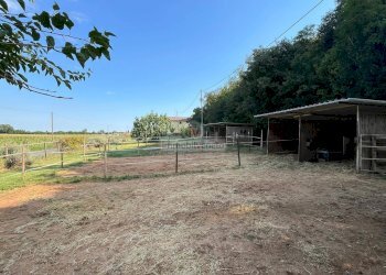 Foto 17 - Independent house VIA BORGOMALE, Orgiano - photo 17