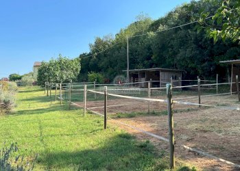 Foto 18 - Independent house VIA BORGOMALE, Orgiano - photo 18