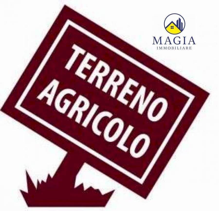 Foto 2 - Terreno agricolo Appignano del Tronto - foto 2