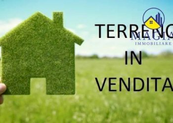 Foto 1 - Terreno agricolo Appignano del Tronto - foto 1