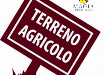 Foto 2 - Terreno agricolo Appignano del Tronto - foto 2