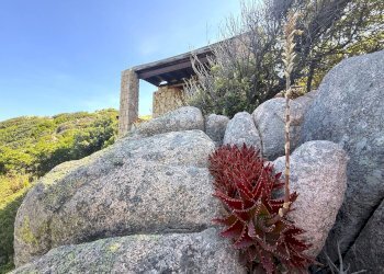 Foto 20 - Villa a Schiera Via Fratti Suacca, Trinità d'Agultu e Vignola - foto 20