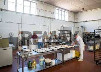 Non correlato - Attività Commerciale via palladio
 
12, Cornaredo - foto 8