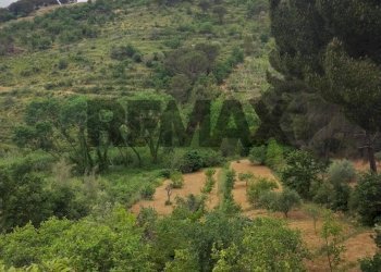 Vista delle montagne - Villa Contrada Rasalgone
 
snc, Piazza Armerina - photo 29