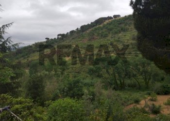 Vista delle montagne - Villa Contrada Rasalgone
 
snc, Piazza Armerina - photo 30