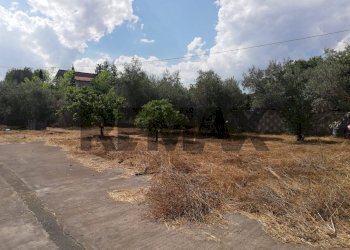 Giardino - Villa Strada Viola
 
snc, Misterbianco - foto 2