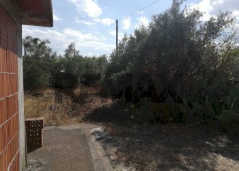Giardino - Villa Strada Viola
 
snc, Misterbianco - foto 16