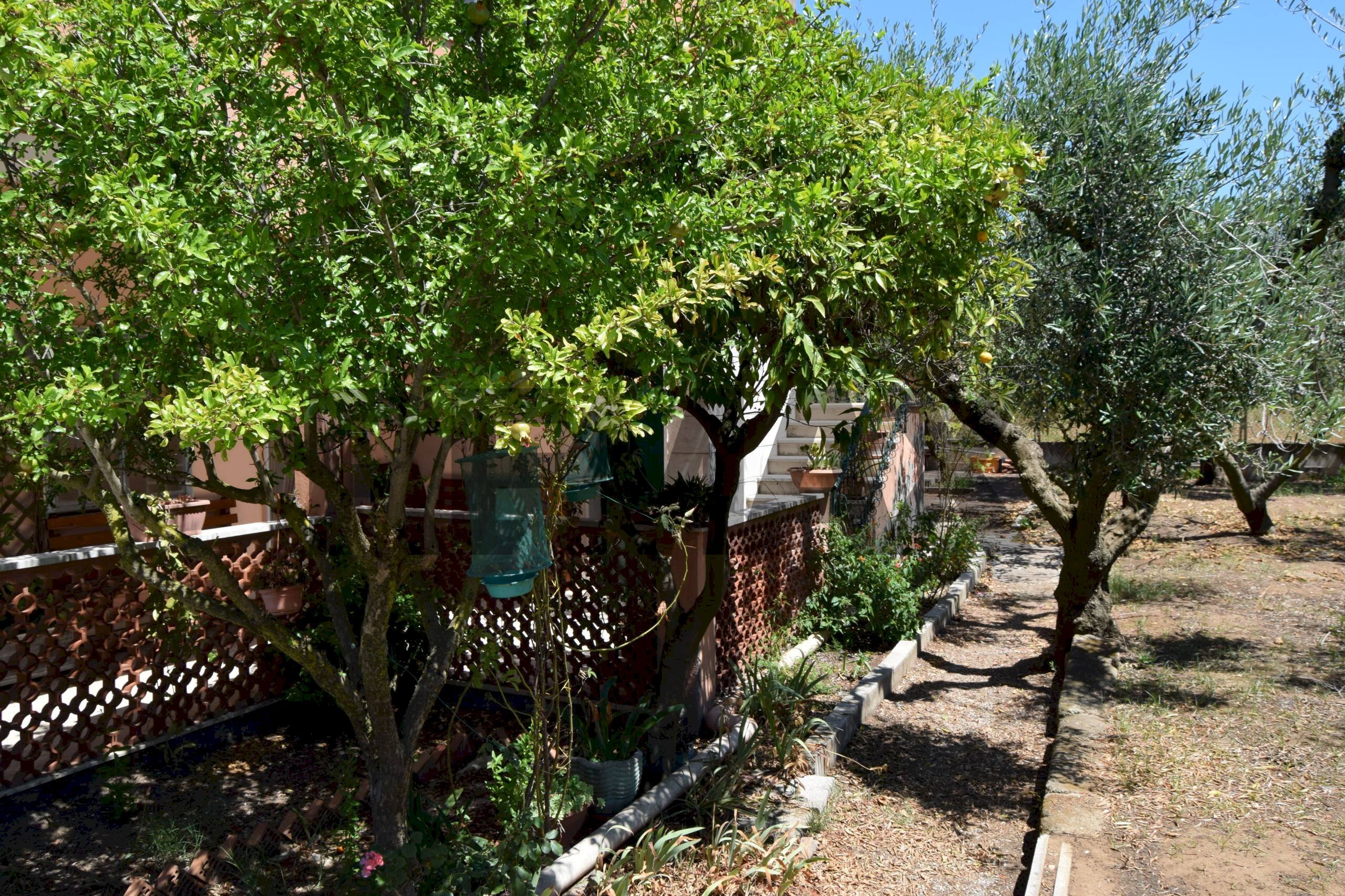Giardino - Casa semi indipendente Via Gorga
29, Nettuno - foto 2