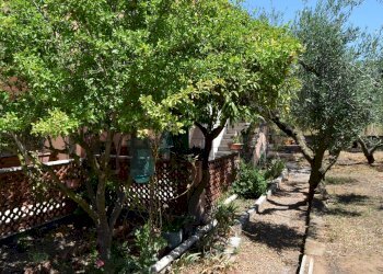 Giardino - Casa semi indipendente Via Gorga
 
29, Nettuno - foto 2