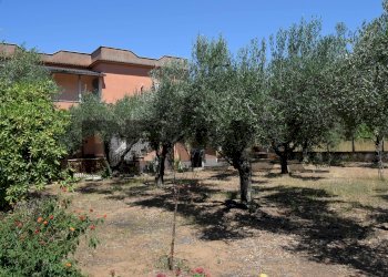 Giardino - Casa semi indipendente Via Gorga
 
29, Nettuno - foto 10