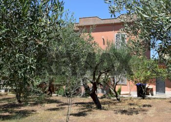 Giardino - Casa semi indipendente Via Gorga
 
29, Nettuno - foto 11