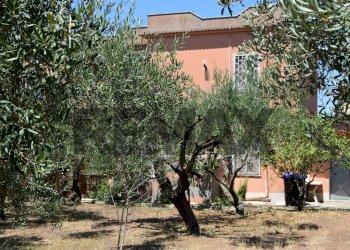 Giardino - Casa semi indipendente Via Gorga
 
29, Nettuno - foto 12