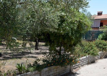Giardino - Casa semi indipendente Via Gorga
 
29, Nettuno - foto 23