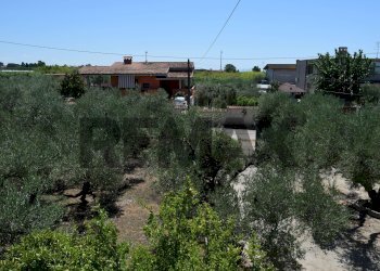 Edificio all\'aperto - Casa semi indipendente Via Gorga
 
29, Nettuno - foto 30
