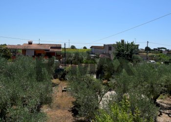 Giardino - Casa semi indipendente Via Gorga
 
29, Nettuno - foto 38