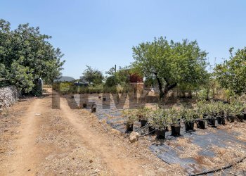 Giardino - Casa indipendente Contrada Grottaperciata - Berrattazza
 
sn, Siracusa - foto 32