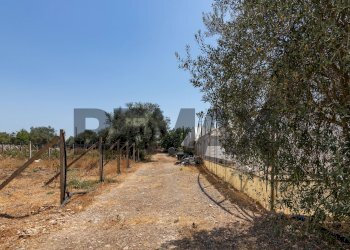 Giardino - Casa indipendente Contrada Grottaperciata - Berrattazza
 
sn, Siracusa - foto 33