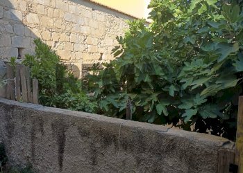 Giardino - Casa indipendente VIA UDINE
 
15, Noto - foto 20