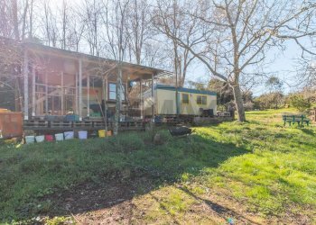 Casa all\'aperto - Terreno agricolo Pereta Ovest
snc, Magliano in Toscana - foto 5