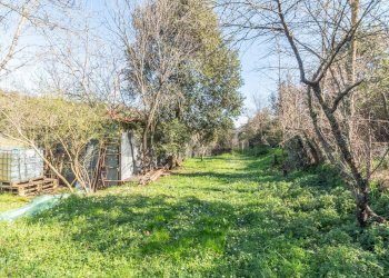 Giardino - Terreno agricolo Pereta Ovest
snc, Magliano in Toscana - foto 7