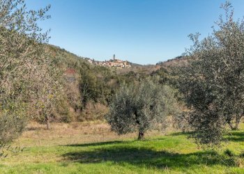 Vista delle montagne - Terreno agricolo Pereta Ovest
snc, Magliano in Toscana - foto 11