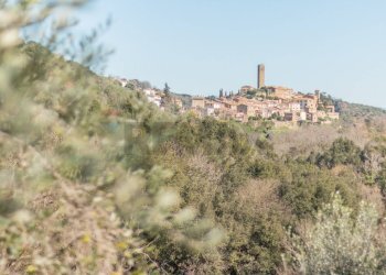 Vista delle montagne - Terreno agricolo Pereta Ovest
snc, Magliano in Toscana - foto 12