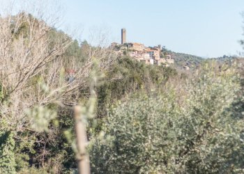 Vista delle montagne - Terreno agricolo Pereta Ovest
snc, Magliano in Toscana - foto 13