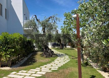 Giardino - Two-room apartment Loc. Pilone del Monaco
 
snc, Vieste - photo 20