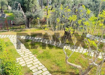Giardino - Trilocale Località Pilone del Monaco
 
snc, Vieste - foto 27