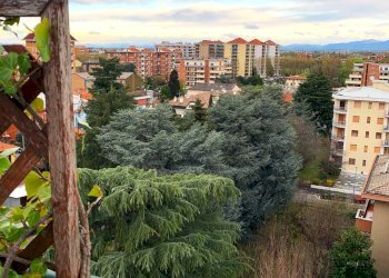 Foto 7 - Quadrilocale Via Piave
 
6, Cinisello Balsamo - foto 7