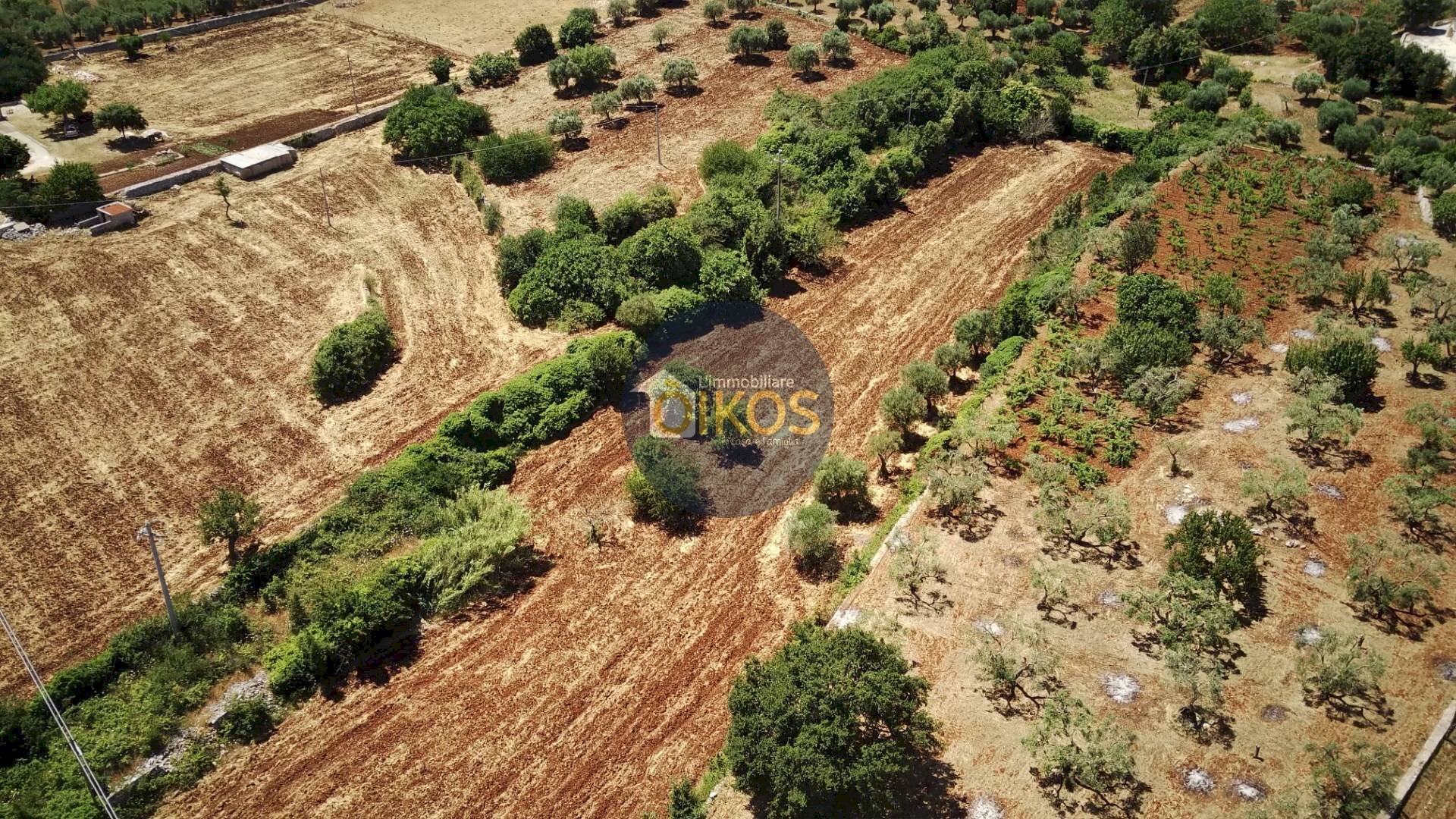 Foto 1 - Terreno agricolo contrada Aratico
 
snc, Monopoli - foto 1