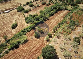 Foto 1 - Terreno agricolo contrada Aratico
snc, Monopoli - foto 1