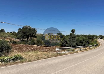 Foto 4 - Terreno agricolo contrada Aratico
snc, Monopoli - foto 4