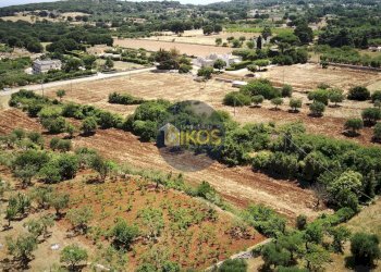 Foto 32 - Terreno agricolo contrada Aratico
snc, Monopoli - foto 32