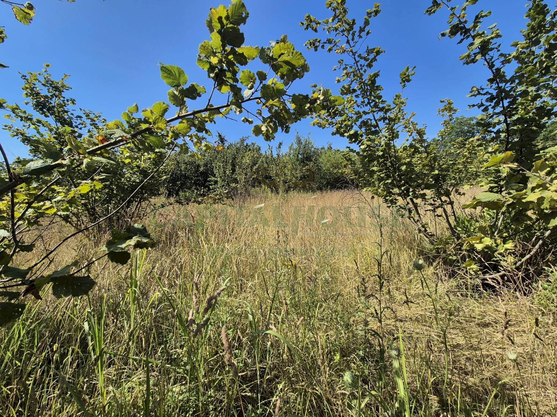 Foto 1 - Terreno agricolo via palma, Striano - foto 1