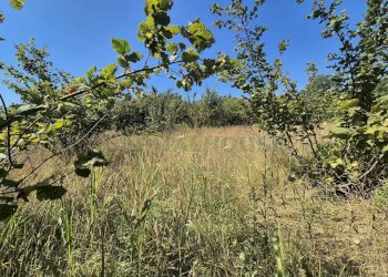 Foto 1 - Terreno agricolo via palma, Striano - foto 1