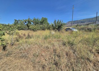 Foto 3 - Terreno agricolo via palma, Striano - foto 3