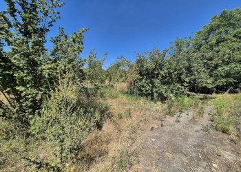 Foto 12 - Terreno agricolo via palma, Striano - foto 12