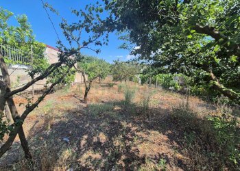 Foto 5 - Agricultural land via masseria barra, Ottaviano - photo 5