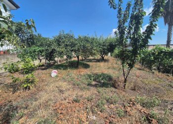 Foto 6 - Agricultural land via masseria barra, Ottaviano - photo 6