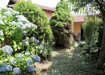 Giardino - Independent house Madonna delle crocette
 
16, Arona - photo 15