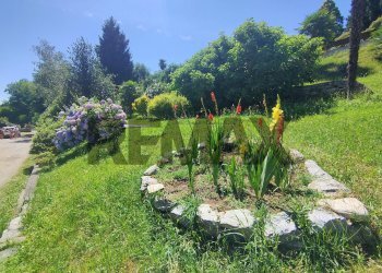 Giardino - Three-room apartment VIA PER COLAZZA
 
11, Pisano - photo 21